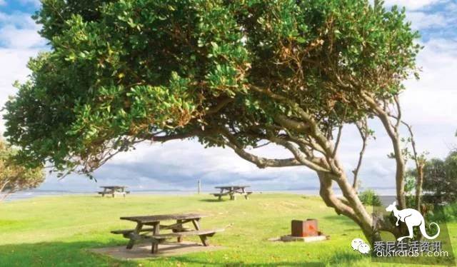 It's so full! 9 hikes around Sydney! 44 national parks, stars, forests, beaches, all over the wildest and most beautiful Sydney