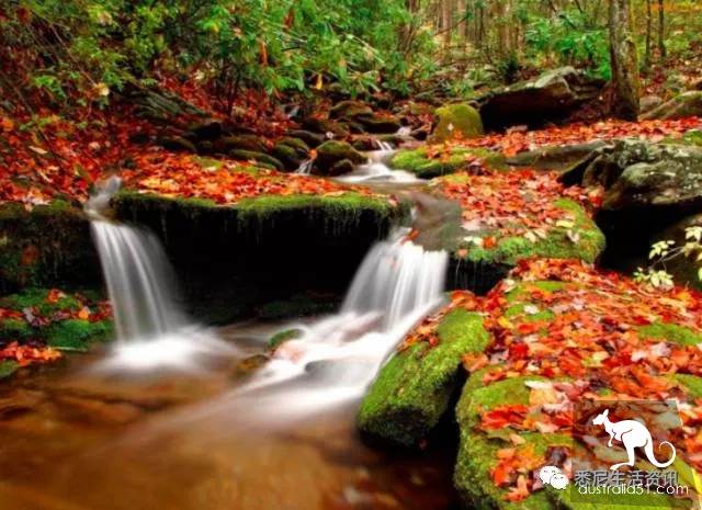 It's so full! 9 hikes around Sydney! 44 national parks, stars, forests, beaches, all over the wildest and most beautiful Sydney