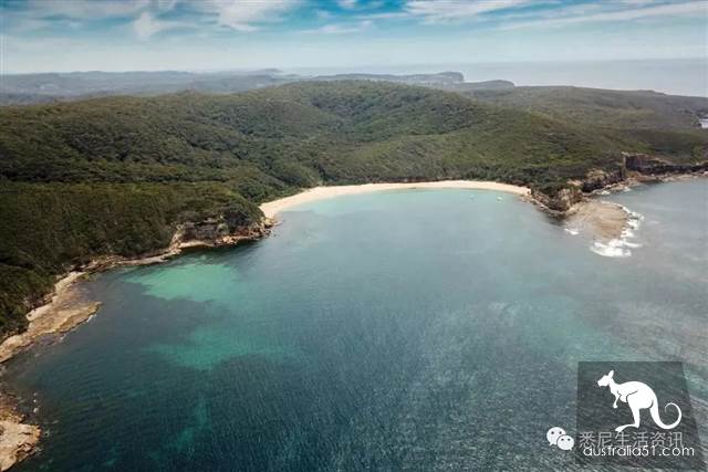 It's so full! 9 hikes around Sydney! 44 national parks, stars, forests, beaches, all over the wildest and most beautiful Sydney