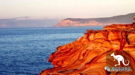 It's so full! 9 hikes around Sydney! 44 national parks, stars, forests, beaches, all over the wildest and most beautiful Sydney