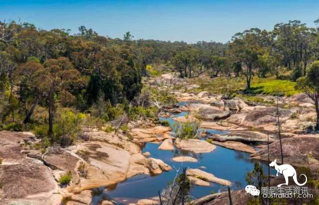 It's so full! 9 hikes around Sydney! 44 national parks, stars, forests, beaches, all over the wildest and most beautiful Sydney