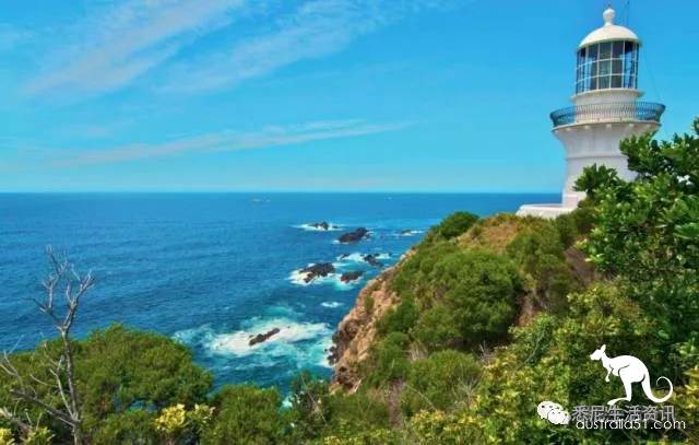 It's so full! 9 hikes around Sydney! 44 national parks, stars, forests, beaches, all over the wildest and most beautiful Sydney