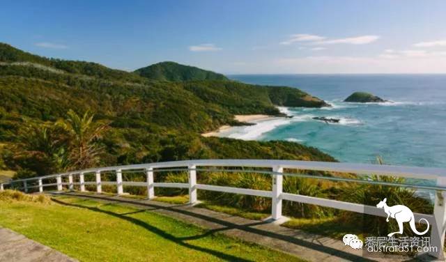 It's so full! 9 hikes around Sydney! 44 national parks, stars, forests, beaches, all over the wildest and most beautiful Sydney