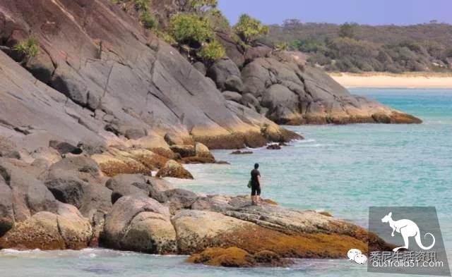 It's so full! 9 hikes around Sydney! 44 national parks, stars, forests, beaches, all over the wildest and most beautiful Sydney