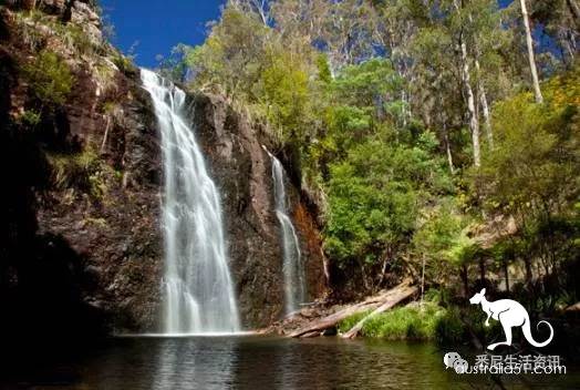 It's so full! 9 hikes around Sydney! 44 national parks, stars, forests, beaches, all over the wildest and most beautiful Sydney