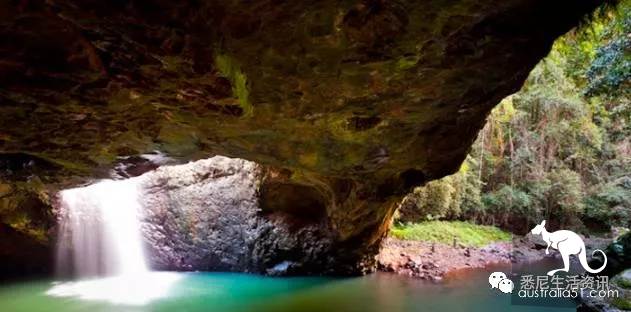 It's so full! 9 hikes around Sydney! 44 national parks, stars, forests, beaches, all over the wildest and most beautiful Sydney