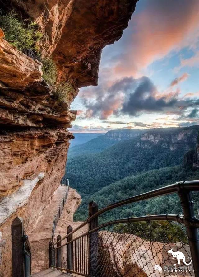 It's so full! 9 hikes around Sydney! 44 national parks, stars, forests, beaches, all over the wildest and most beautiful Sydney