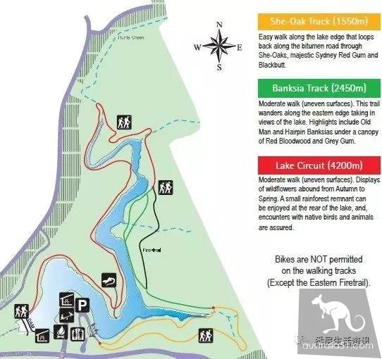 It's so full! 9 hikes around Sydney! 44 national parks, stars, forests, beaches, all over the wildest and most beautiful Sydney