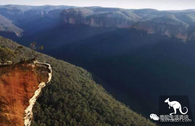 It's so full! 9 hikes around Sydney! 44 national parks, stars, forests, beaches, all over the wildest and most beautiful Sydney