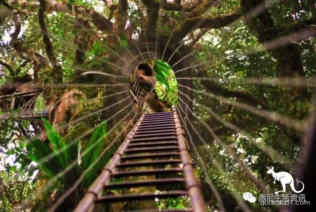 It's so full! 9 hikes around Sydney! 44 national parks, stars, forests, beaches, all over the wildest and most beautiful Sydney