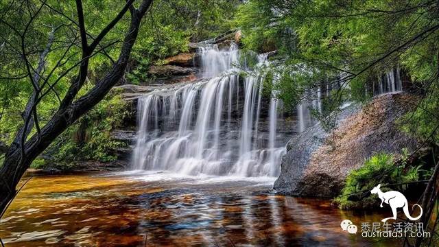 It's so full! 9 hikes around Sydney! 44 national parks, stars, forests, beaches, all over the wildest and most beautiful Sydney