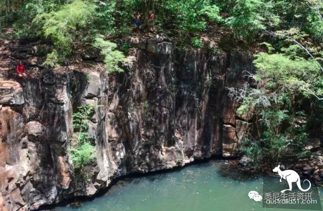 It's so full! 9 hikes around Sydney! 44 national parks, stars, forests, beaches, all over the wildest and most beautiful Sydney