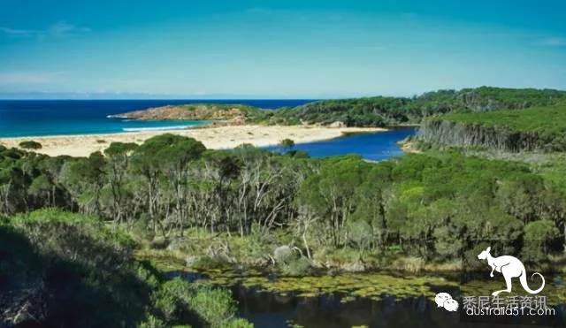 It's so full! 9 hikes around Sydney! 44 national parks, stars, forests, beaches, all over the wildest and most beautiful Sydney