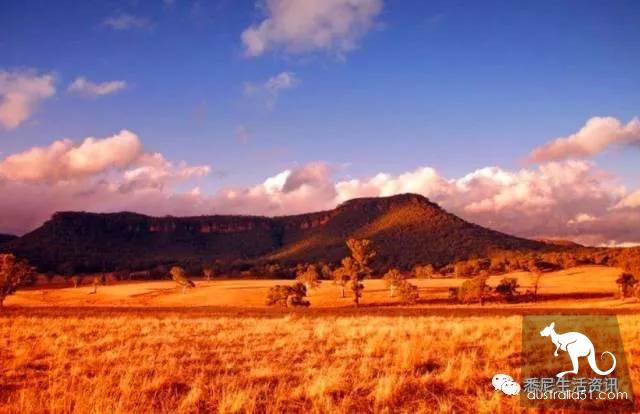 It's so full! 9 hikes around Sydney! 44 national parks, stars, forests, beaches, all over the wildest and most beautiful Sydney