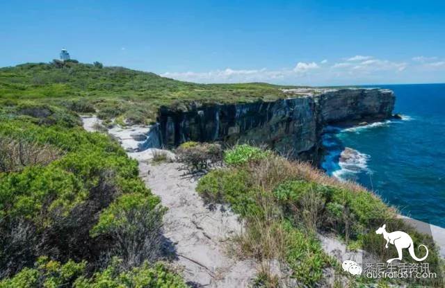 It's so full! 9 hikes around Sydney! 44 national parks, stars, forests, beaches, all over the wildest and most beautiful Sydney