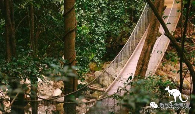 It's so full! 9 hikes around Sydney! 44 national parks, stars, forests, beaches, all over the wildest and most beautiful Sydney