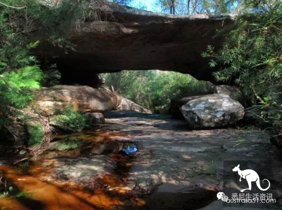 It's so full! 9 hikes around Sydney! 44 national parks, stars, forests, beaches, all over the wildest and most beautiful Sydney