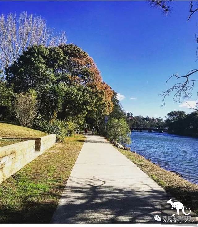 It's so full! 9 hikes around Sydney! 44 national parks, stars, forests, beaches, all over the wildest and most beautiful Sydney