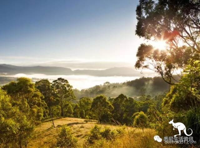 It's so full! 9 hikes around Sydney! 44 national parks, stars, forests, beaches, all over the wildest and most beautiful Sydney