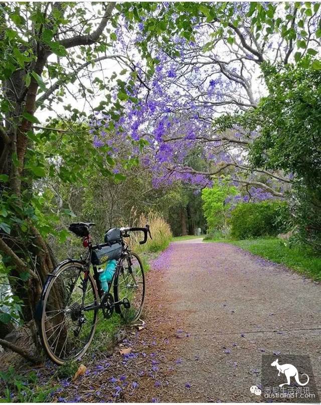 It's so full! 9 hikes around Sydney! 44 national parks, stars, forests, beaches, all over the wildest and most beautiful Sydney