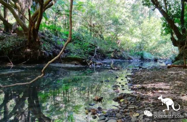 It's so full! 9 hikes around Sydney! 44 national parks, stars, forests, beaches, all over the wildest and most beautiful Sydney