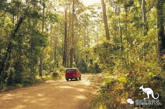 It's so full! 9 hikes around Sydney! 44 national parks, stars, forests, beaches, all over the wildest and most beautiful Sydney