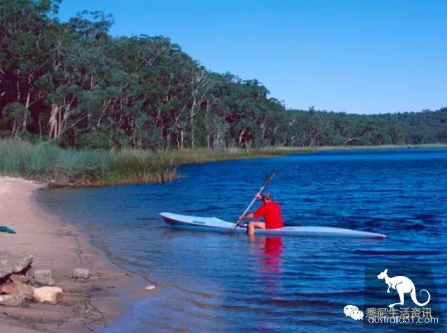 It's so full! 9 hikes around Sydney! 44 national parks, stars, forests, beaches, all over the wildest and most beautiful Sydney