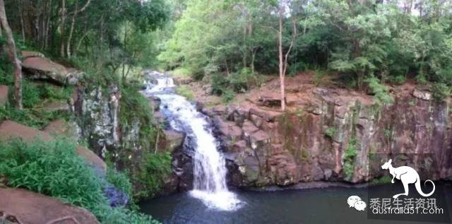 It's so full! 9 hikes around Sydney! 44 national parks, stars, forests, beaches, all over the wildest and most beautiful Sydney