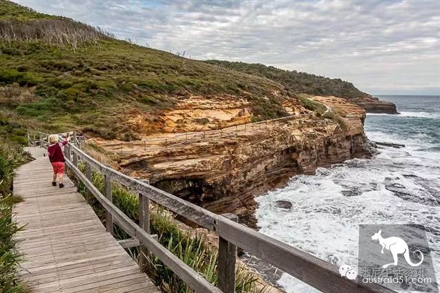 It's so full! 9 hikes around Sydney! 44 national parks, stars, forests, beaches, all over the wildest and most beautiful Sydney