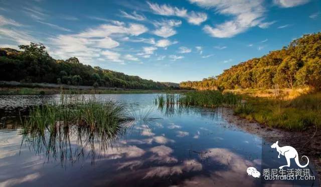 It's so full! 9 hikes around Sydney! 44 national parks, stars, forests, beaches, all over the wildest and most beautiful Sydney