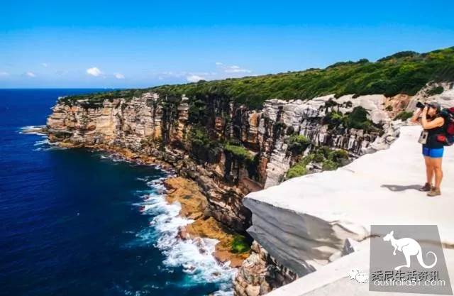 It's so full! 9 hikes around Sydney! 44 national parks, stars, forests, beaches, all over the wildest and most beautiful Sydney