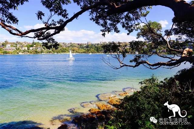 It's so full! 9 hikes around Sydney! 44 national parks, stars, forests, beaches, all over the wildest and most beautiful Sydney