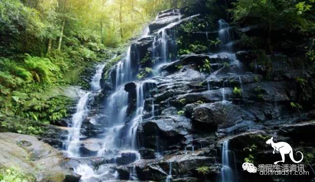 It's so full! 9 hikes around Sydney! 44 national parks, stars, forests, beaches, all over the wildest and most beautiful Sydney