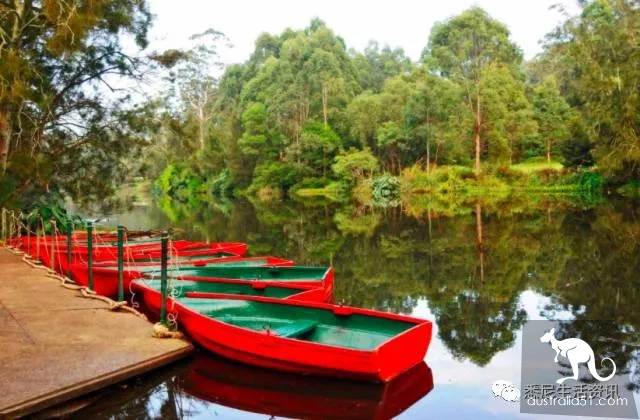 It's so full! 9 hikes around Sydney! 44 national parks, stars, forests, beaches, all over the wildest and most beautiful Sydney