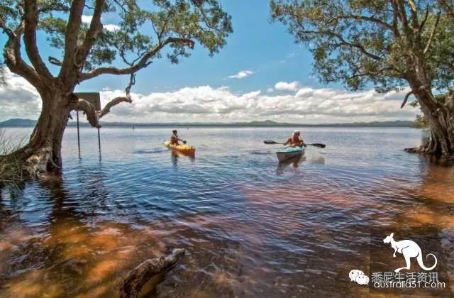 It's so full! 9 hikes around Sydney! 44 national parks, stars, forests, beaches, all over the wildest and most beautiful Sydney