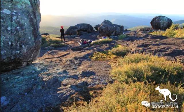 It's so full! 9 hikes around Sydney! 44 national parks, stars, forests, beaches, all over the wildest and most beautiful Sydney