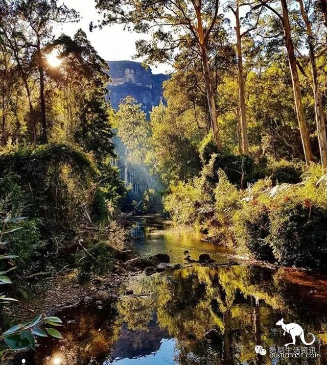It's so full! 9 hikes around Sydney! 44 national parks, stars, forests, beaches, all over the wildest and most beautiful Sydney