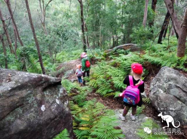 It's so full! 9 hikes around Sydney! 44 national parks, stars, forests, beaches, all over the wildest and most beautiful Sydney