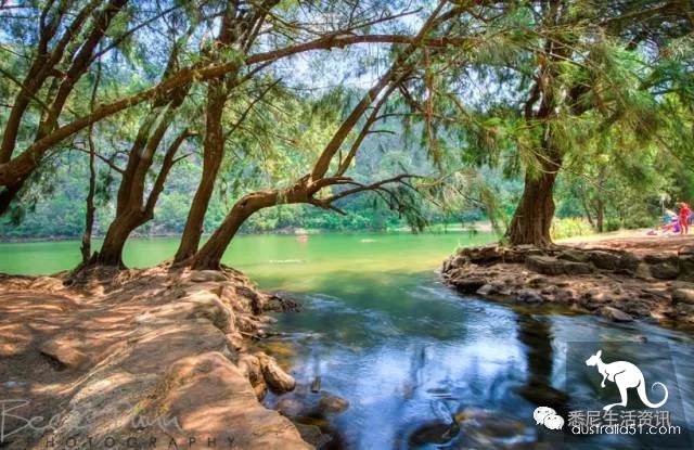 It's so full! 9 hikes around Sydney! 44 national parks, stars, forests, beaches, all over the wildest and most beautiful Sydney