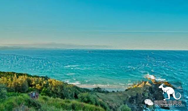 It's so full! 9 hikes around Sydney! 44 national parks, stars, forests, beaches, all over the wildest and most beautiful Sydney