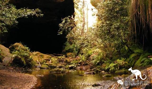 It's so full! 9 hikes around Sydney! 44 national parks, stars, forests, beaches, all over the wildest and most beautiful Sydney