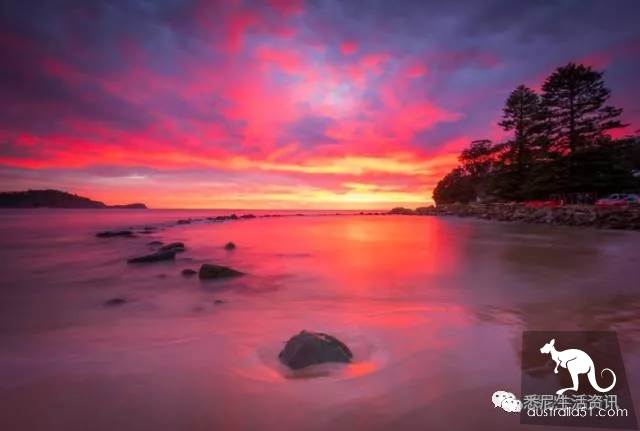 It's so full! 9 hikes around Sydney! 44 national parks, stars, forests, beaches, all over the wildest and most beautiful Sydney