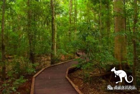 It's so full! 9 hikes around Sydney! 44 national parks, stars, forests, beaches, all over the wildest and most beautiful Sydney