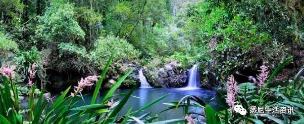 It's so full! 9 hikes around Sydney! 44 national parks, stars, forests, beaches, all over the wildest and most beautiful Sydney