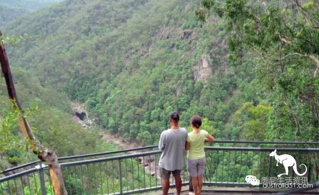 It's so full! 9 hikes around Sydney! 44 national parks, stars, forests, beaches, all over the wildest and most beautiful Sydney