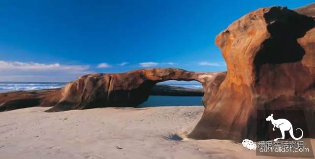 It's so full! 9 hikes around Sydney! 44 national parks, stars, forests, beaches, all over the wildest and most beautiful Sydney