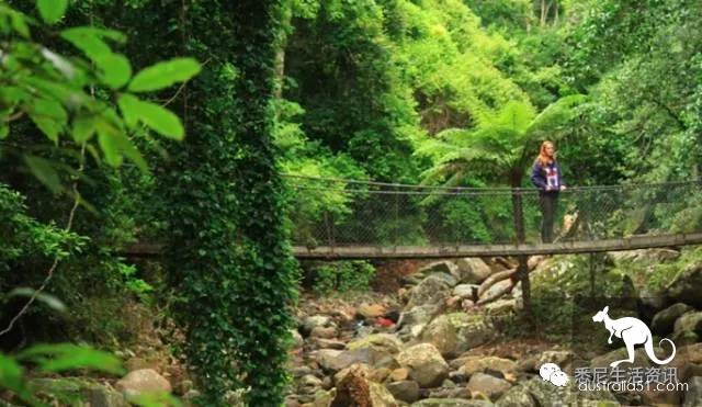 It's so full! 9 hikes around Sydney! 44 national parks, stars, forests, beaches, all over the wildest and most beautiful Sydney