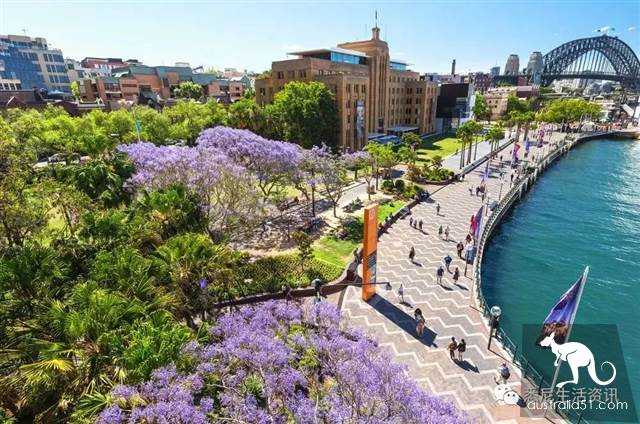 It's so full! 9 hikes around Sydney! 44 national parks, stars, forests, beaches, all over the wildest and most beautiful Sydney