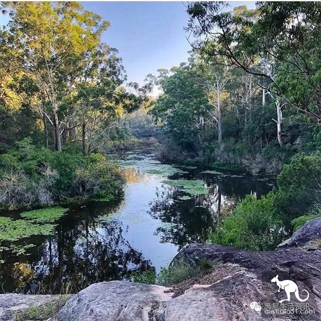 It's so full! 9 hikes around Sydney! 44 national parks, stars, forests, beaches, all over the wildest and most beautiful Sydney