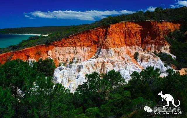 It's so full! 9 hikes around Sydney! 44 national parks, stars, forests, beaches, all over the wildest and most beautiful Sydney